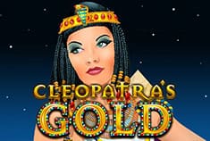Q88Bets game-thumb